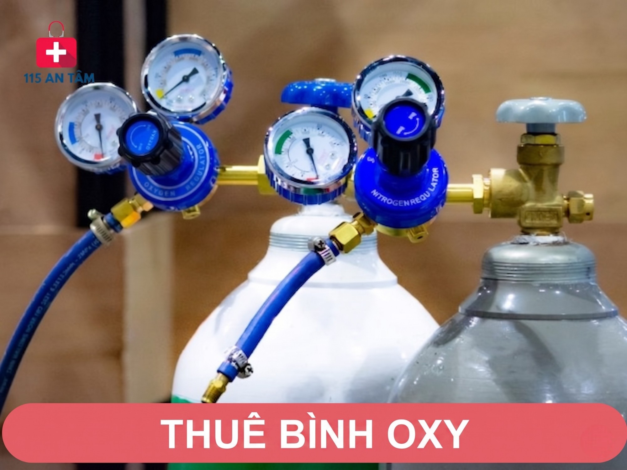 cho thue binh oxy tai tphcm